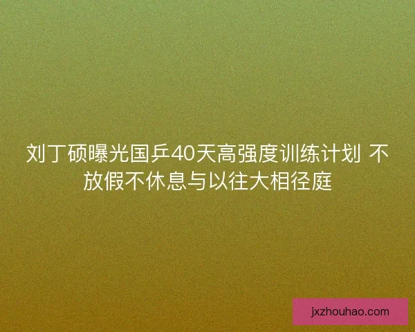 刘丁硕曝光国乒40天高强度训练计划 不放假不休息与以往大相径庭